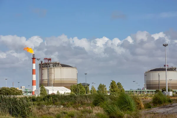 Vista de planta de refinaria de petróleo com sua lareira flamejante contra o céu azul — Fotografia de Stock
