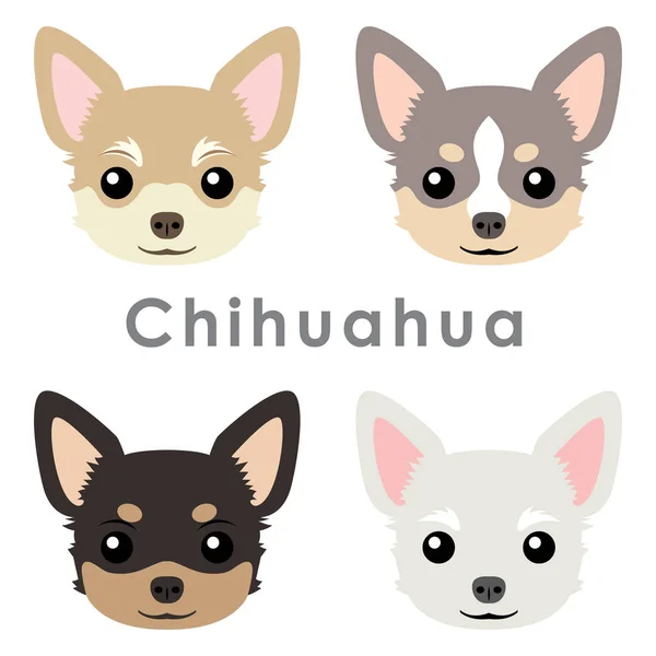 Vektör Yakışıklı Chihuahua Köpek Kafaları Çizim — Stok Vektör
