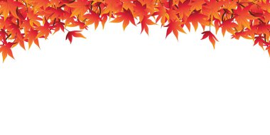 Eğri şeklinde yatay afiş dekorasyon için sonbaharda kırmızı akçaağaç yaprakları İllüstrasyon vektör