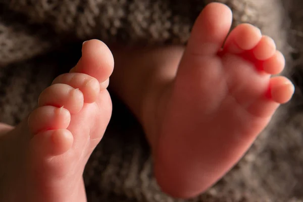 Legs of a newborn in a gray woolen blanket — Stock Photo, Image