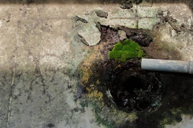 Bir odanın balkonundaki ihmal edilmiş drenajın yakınındaki kırık döşeme üzerinde büyüyen yosun ya da bryophyta, suyun alt kata sızmasına neden olabilir. 