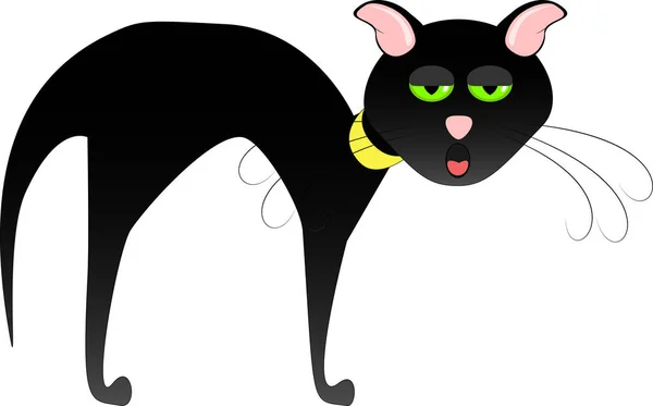 Siyah kedi resmi. Oturma kedi. Yorgun kedi.
