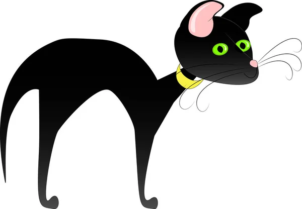 Siyah kedi resmi. Oturma kedi. Yorgun kedi.