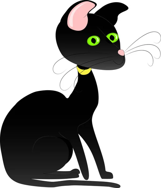 Siyah kedi resmi. Oturma kedi. Yorgun kedi.