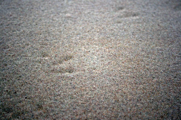Grain of grey sand macro photo nature — Stock Photo, Image