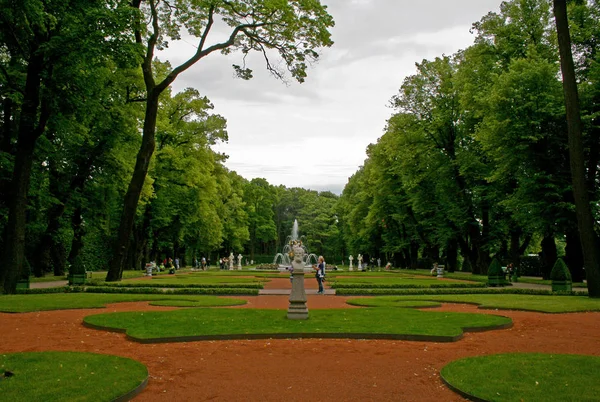 Jardín de verano en San Petersburgo en verano, Rusia —  Fotos de Stock