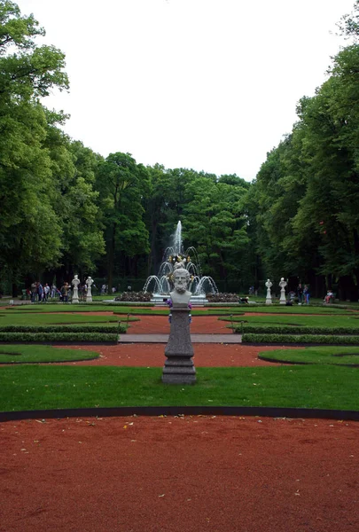 Jardín de verano en San Petersburgo en verano, Rusia —  Fotos de Stock