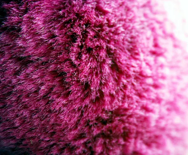 Růžový vlněný makro — Stock fotografie