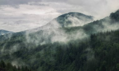 Yağmurdan sonra Karpat Dağları