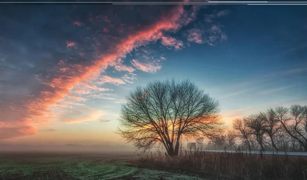 Unter blauem Himmel — Stockfoto