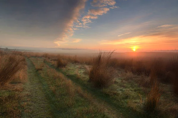 Morning new day — Stock Photo, Image