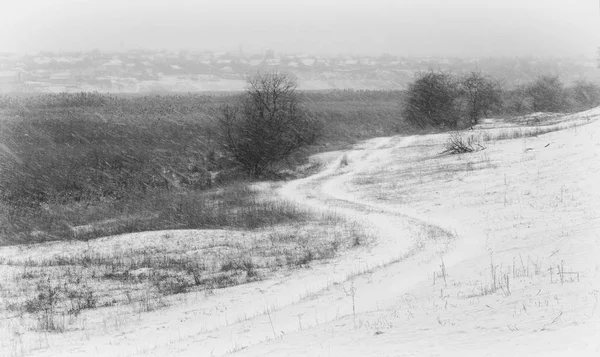 Zimowych blizzard w polu — Zdjęcie stockowe