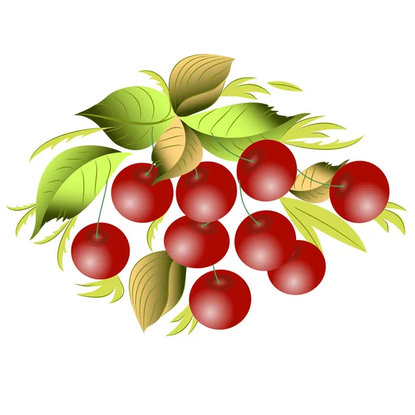 Vector graphics clipart Cherry — Stock Vector