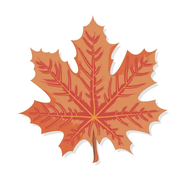 Vector graphics clipart Orange Maple Leaf — Stock Vector