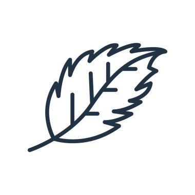 Beyaz arka plan üzerinde yaprak şeffaf işareti izole simge vektör yaprak