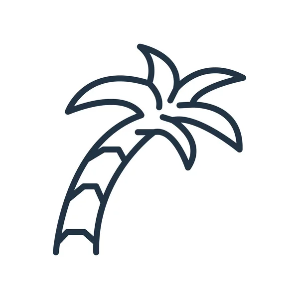 Palmera Icono Vector Aislado Sobre Fondo Blanco Palmera Signo Transparente — Vector de stock