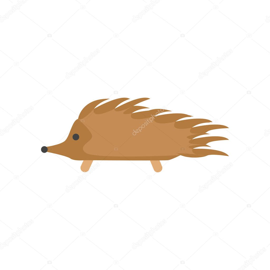 Hedgehog icon vector isolated on white background for your web and mobile app design, Hedgehog logo concept