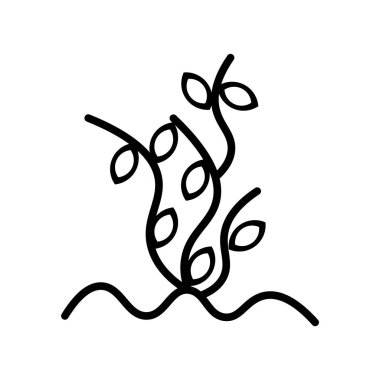 Bitki simge vektör izole beyaz arka plan, bitki şeffaf işareti, siyah sembolleri