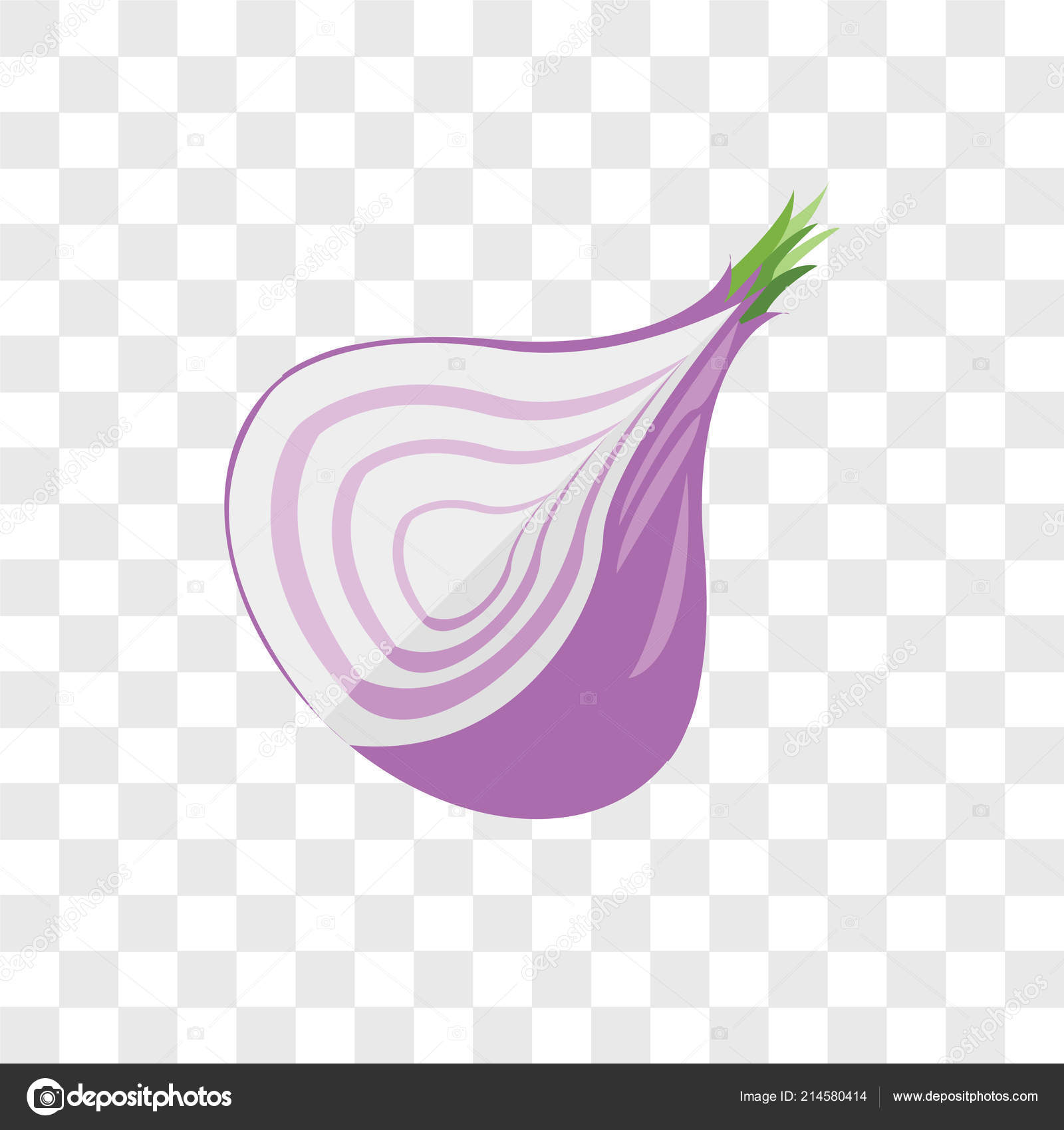 Onion Vector Icon Isolated Transparent Background Onion Logo