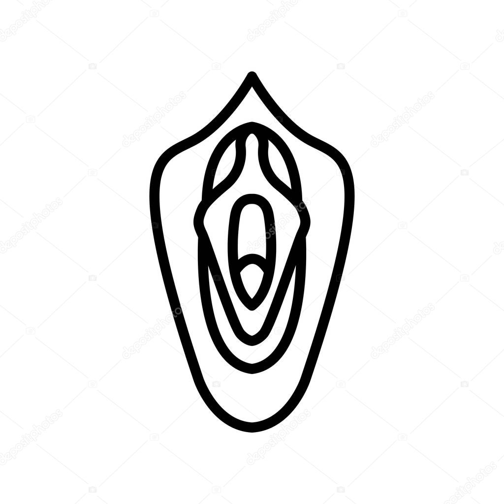 Vagina icon vector isolated on white background, Vagina transparent sign , line and outline elements in linear style