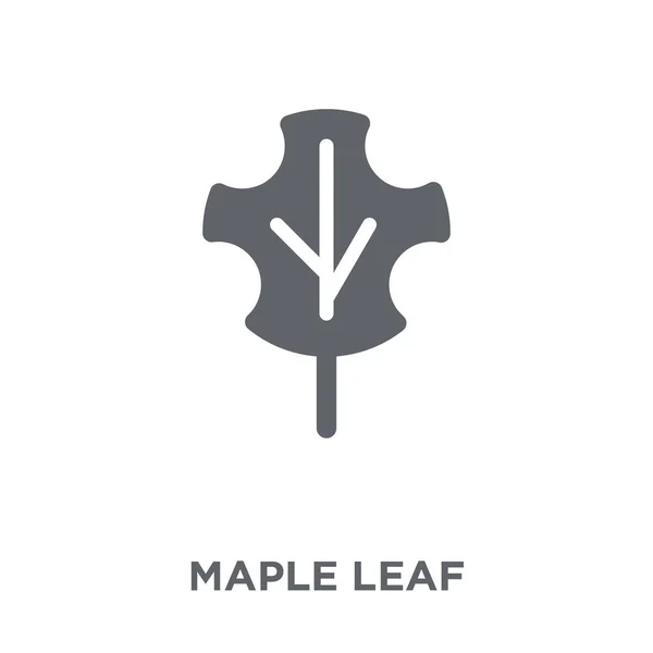 Maple Leaf Ikona Maple Leaf Koncepcja Kolekcji Camping Element Prosty — Wektor stockowy