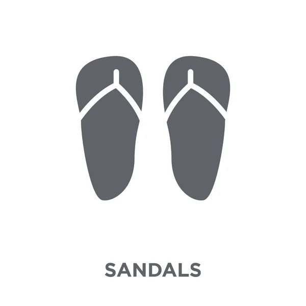 凉鞋图标 凉鞋设计概念从集合 简单的元素向量例证在白色背景 — 图库矢量图片