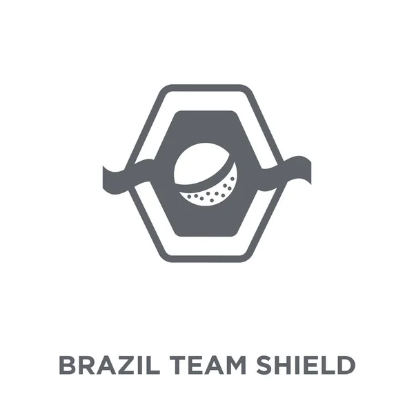 Icono Del Escudo Del Equipo Brasil Concepto Diseño Del Escudo — Vector de stock