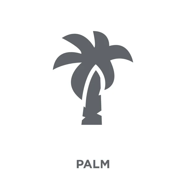 Icône Paume Concept Palm Design Collection Fruits Légumes Illustration Vectorielle — Image vectorielle