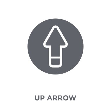 Yukarı ok simgesi. Ok tasarım kavramı koleksiyonundan. Basit öğe vektör çizim beyaz arka plan üzerinde.