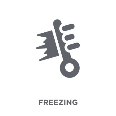 Dondurucu simgesi. Tasarım konsepti hava koleksiyonundan buz gibi. Basit öğe vektör çizim beyaz arka plan üzerinde.