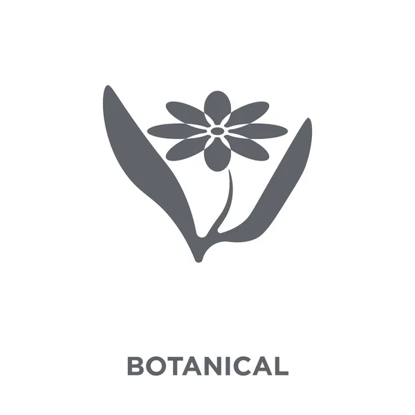 Ícone Botânico Conceito Design Botânico Coleção Museu Ilustração Vetorial Elemento — Vetor de Stock