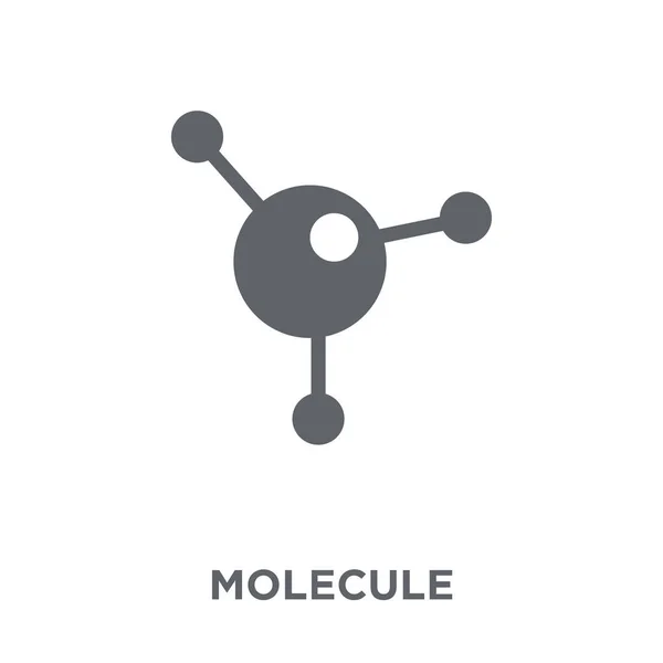 Icono Molécula Concepto Diseño Molecular Colección Ilustración Simple Del Vector — Vector de stock