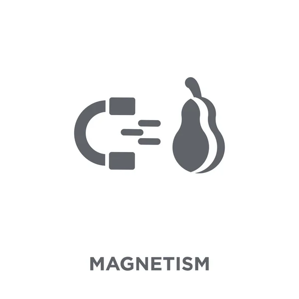 Icono Magnetismo Concepto Diseño Magnético Colección Ilustración Simple Del Vector — Vector de stock