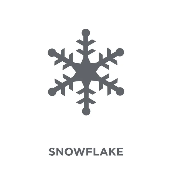 Ikona Śnieżynki Koncepcja Projektowania Śnieżynka Kolekcji Element Prosty Wektor Ilustracja — Wektor stockowy