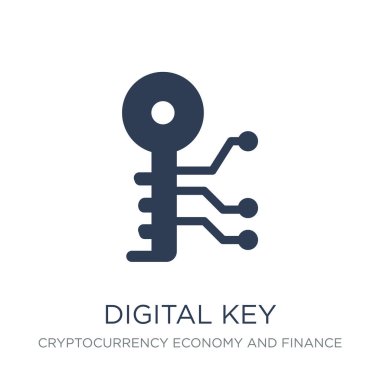 Dijital anahtar simgesi. Trendy düz vektör dijital anahtar simgesine Cryptocurrency ekonomi ve finans Collection, vektör çizim beyaz arka plan-ebilmek var olmak kullanma web ve mobil, eps10 için