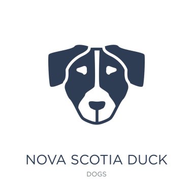 Nova Scotia Duck Tolling Retriever köpek simgesi. Trendy düz vektör Nova Scotia Duck Tolling Retriever köpek simgesi beyaz zemin üzerine toplama köpekler, vektör çizim kullanmak web ve mobil, eps10 olabilir