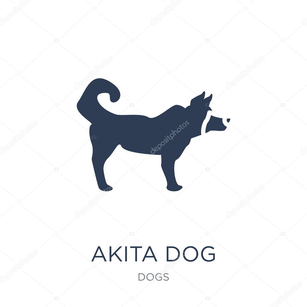 Akita dog icon. Trendy flat vector Akita dog icon on white background from dogs collection, vector illustration can be use for web and mobile, eps10