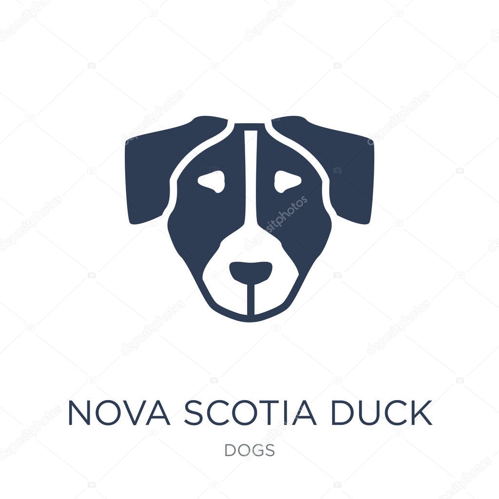 Nova Scotia Duck Tolling Retriever dog icon. Trendy flat vector Nova Scotia Duck Tolling Retriever dog icon on white background from dogs collection, vector illustration can be use for web and mobile, eps10