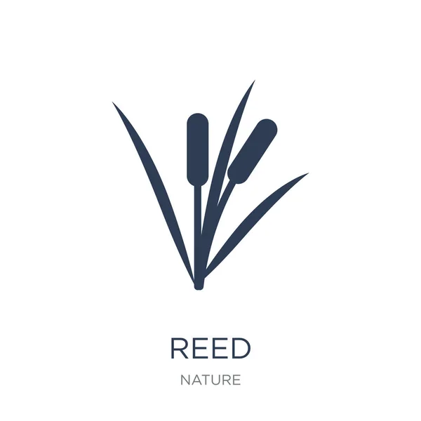 Icono Caña Vector Plano Moda Reed Icono Sobre Fondo Blanco — Vector de stock