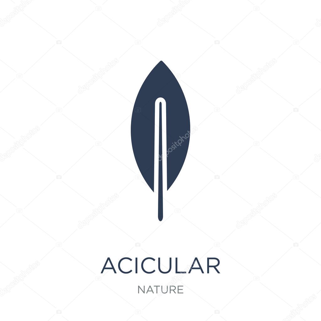 Acicular icon. Trendy flat vector Acicular icon on white background from nature collection, vector illustration can be use for web and mobile, eps10