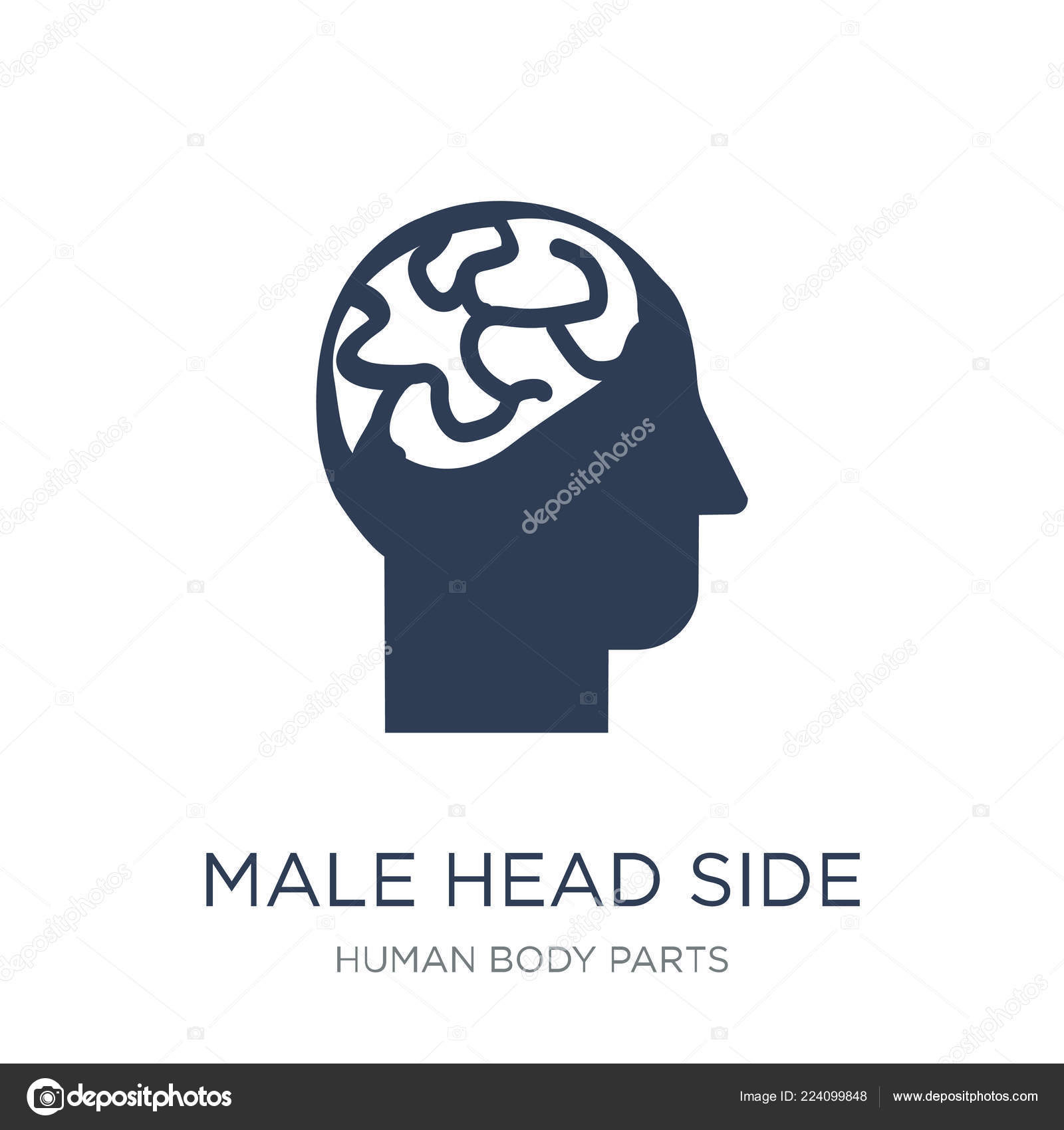male head side view male head side view