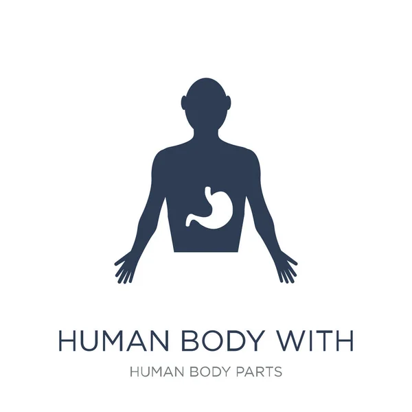 Cuerpo Humano Con Placa Rayos Enfocada Icono Del Estómago Vector — Vector de stock