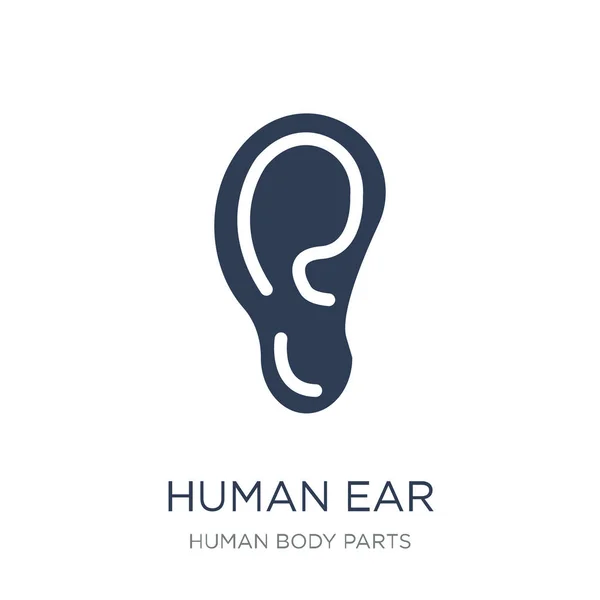 人类耳朵图标 时尚平向量人耳朵图标在白色背景从人体零件汇集 向量例证可以为网和移动 Eps10 — 图库矢量图片