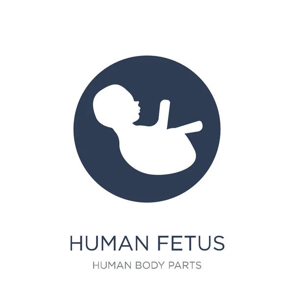 Menselijke Foetus Pictogram Trendy Platte Vector Menselijke Foetus Pictogram Witte — Stockvector
