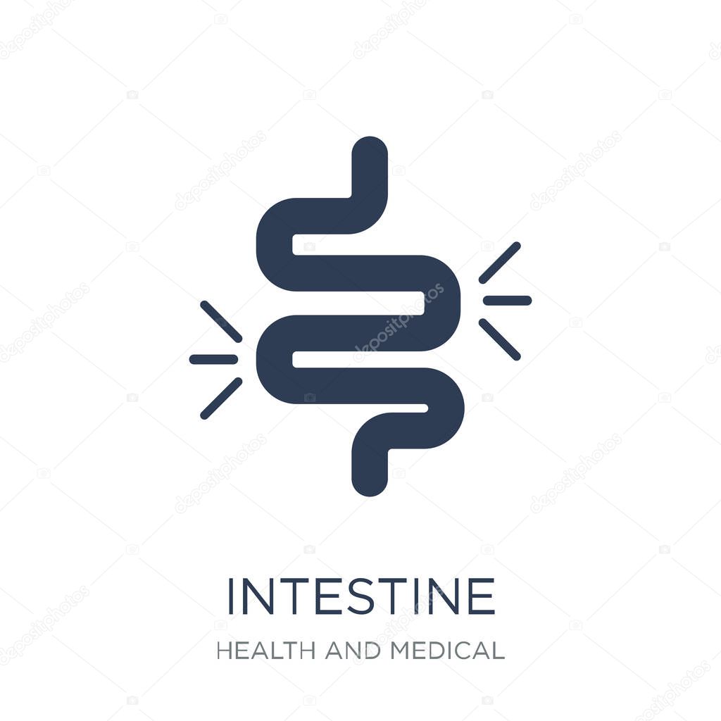 Intestine icon. Trendy flat vector Intestine icon on white background from Health and Medical collection, vector illustration can be use for web and mobile, eps10