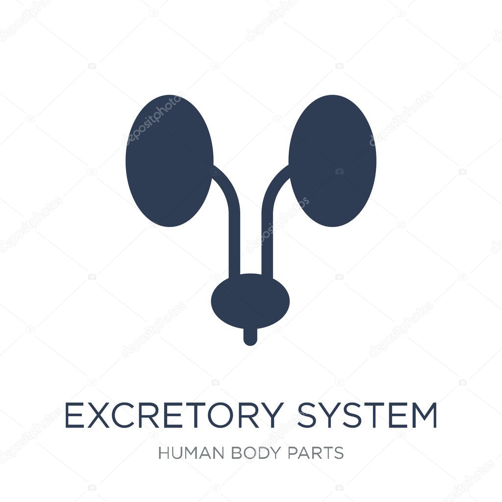 Excretory system icon. Trendy flat vector Excretory system icon on white background from Human Body Parts collection, vector illustration can be use for web and mobile, eps10