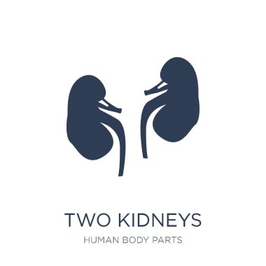 İki böbrek simgesi. Trendy düz vektör iki böbrek simge vektör çizim insan vücut parçaları koleksiyonundan beyaz arka plan üzerinde kullanım için web ve mobil, eps10 olabilir