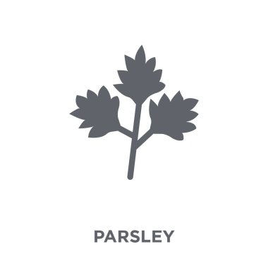 Maydanoz simgesi. Meyve ve sebze koleksiyonundan maydanoz tasarım konsepti. Basit öğe vektör çizim beyaz arka plan üzerinde.