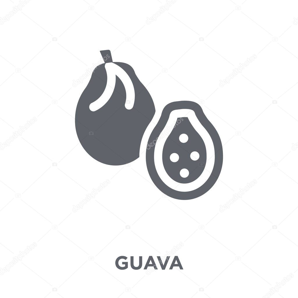 Guava icon. Guava design concept from Fruit and vegetables collection. Simple element vector illustration on white background.