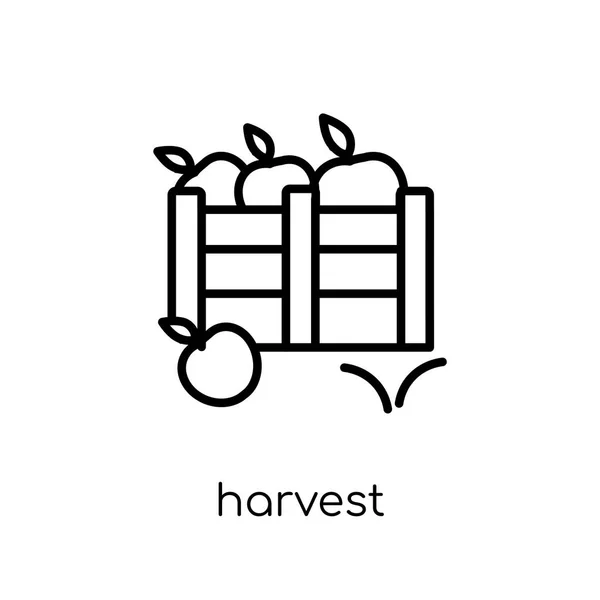 Harvest Icon Trendy Modern Flat Linear Vector Harvest Icon White — Stock Vector